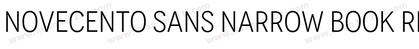 Novecento sans narrow Book Regular字体转换